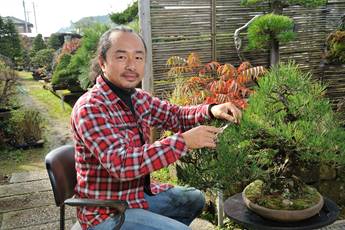 Haruhiko Tsuchiya gestaltet Bonsai im Garten von Hans-Joachim Kleimann